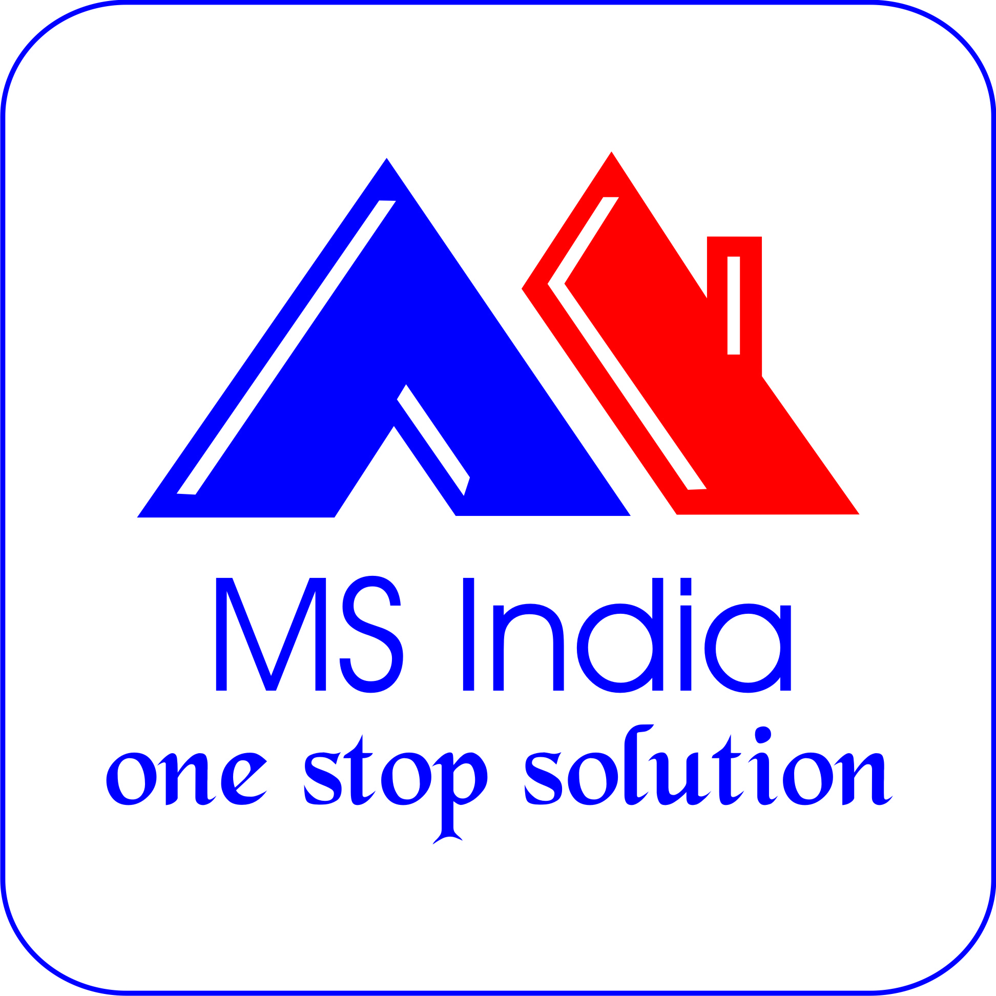 MS India